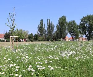 Park Hliník, Nové Zámky