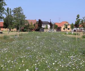 Park Hliník, Nové Zámky