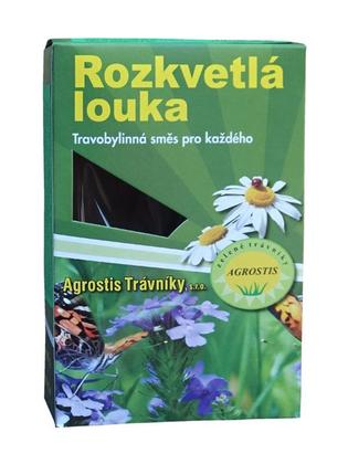 KRASOHLED – Kvetnatá lúka s letničkami